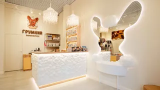 Дизайнерский проект премиального груминг-бутика