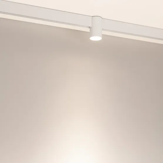 Фото #2 товара Светильник MAG-ORIENT-AXIO-R60-10W Day4000 (WH, 24 deg, 48V) (Arlight, IP20 Металл, 5 лет)