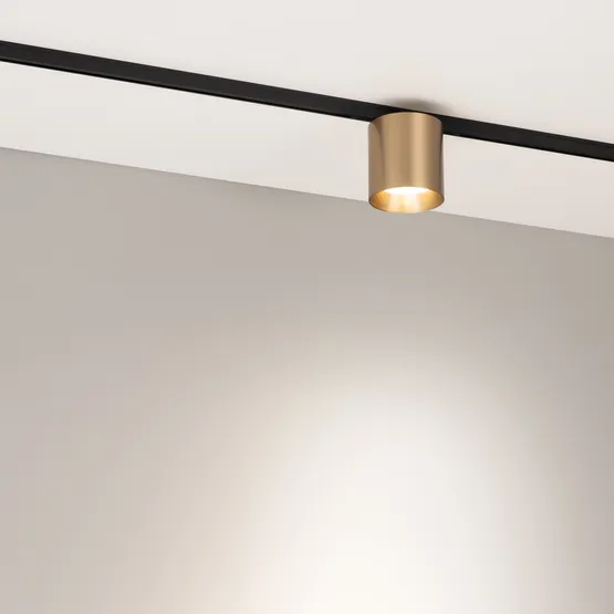 Фото #2 товара Светильник MAG-MICROCOSM-POINT-R68-7W Day4000 (GD, 36 deg, 24V) (Arlight, IP20 Металл, 5 лет)