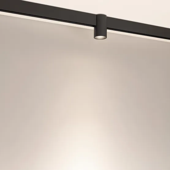 Фото #2 товара Светильник MAG-ORIENT-AXIO-R60-15W Day4000 (BK, 24 deg, 48V) (Arlight, IP20 Металл, 5 лет)