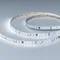 Минифото #1 товара Светодиодная лента DMX-A96-12mm 24V White6000-PX12 (14 W/m, IP20, 5m) (Arlight, -)