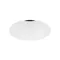 Минифото #1 товара Светильник MS-ARADO-TRIMLESS-R75-12W Warm3000 (WH-WH, 55 deg, 230V) (Arlight, IP20 Металл, 5 лет)