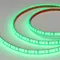 Минифото #2 товара Светодиодная лента герметичная RTW-PFS-A120-11mm 12V Green (9.6 W/m, IP68, 2835, 5m) (Arlight, 9.6 Вт/м, IP68)