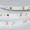 Минифото #2 товара Светодиодная лента DMX-A96-12mm 24V White6000-PX12 (14 W/m, IP20, 5m) (Arlight, -)